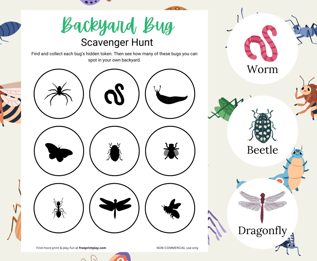 Backyard Bug Scavenger&nbsp;Hunt