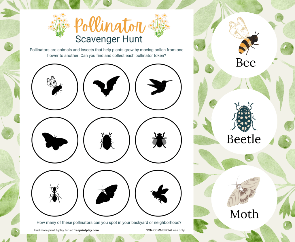Pollinator Scavenger Hunt